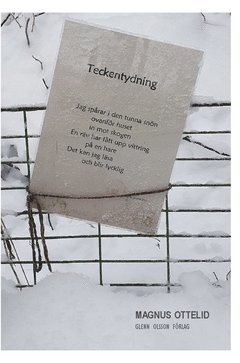 Teckentydning (pocket)