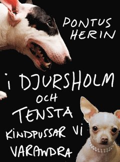 I Djursholm och Tensta kindpussar vi varandra (pocket)