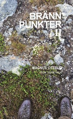 Br�nnpunkter II : noveller (inbunden)
