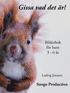 Gissa vad det �r! (e-bok)