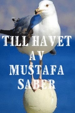 Till havet (häftad)