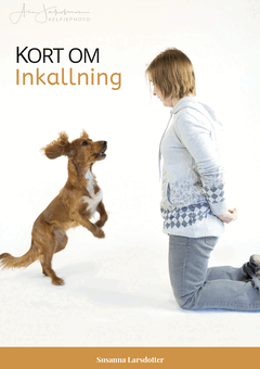 Kort om Inkallning (h�ftad)