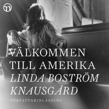 Vlkommen till Amerika (e-bok)