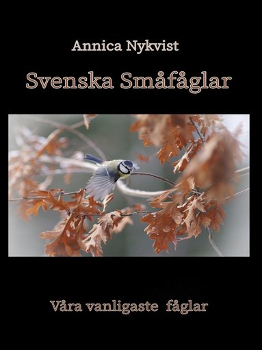 Svenska Småfåglar: våra vanligaste fåglar (e-bok)