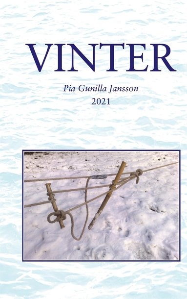 Vinter: I m�rker och kyla p� de o�ndliga isvidderna (inbunden)
