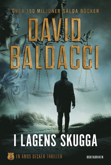 I lagens skugga (e-bok)