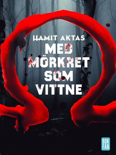 Med mörkret som vittne (häftad)