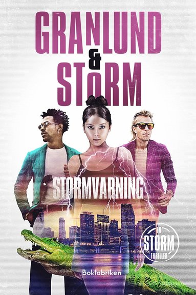 Stormvarning (kartonnage)