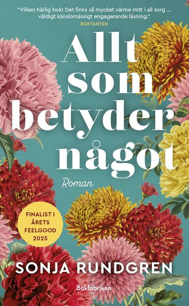 Allt som betyder n�got (pocket)