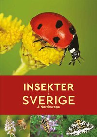 Insekter i Sverige & Nordeuropa (hftad)