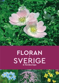 Floran i Sverige & Nordeuropa