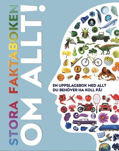 Stora faktaboken om allt! (hftad)