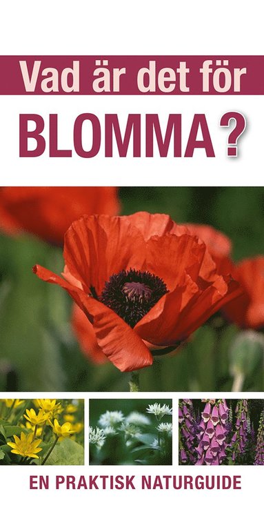 Vad r det fr blomma? : en praktisk naturguide (inbunden)