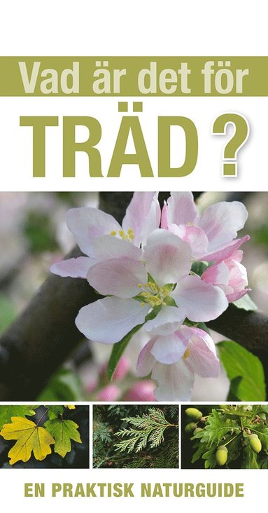 Vad är det för träd? (inbunden)