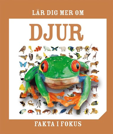 Lr dig mer om djur (inbunden)