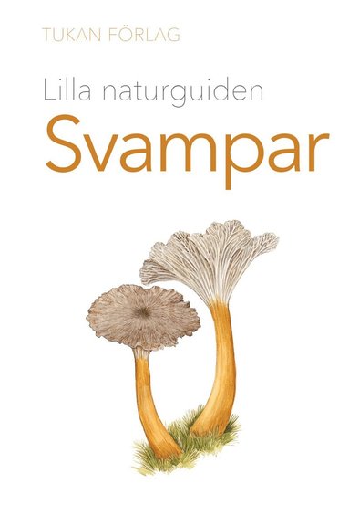 Lilla naturguiden : Svampar (hftad)