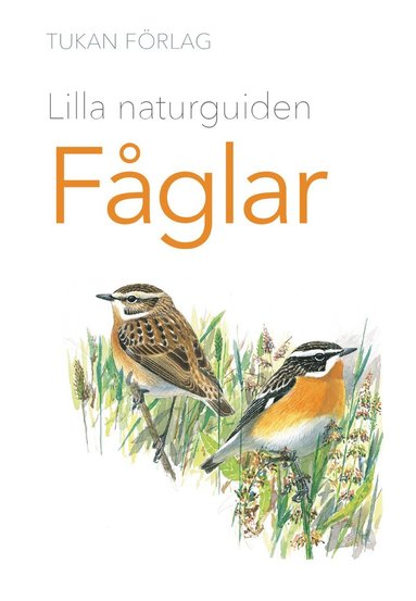 Lilla naturguiden : Fglar (hftad)