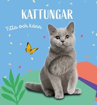 Omslag: Titta och känn. Kattungar