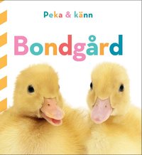 Omslag: Peka och känn. Bondgård