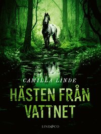Omslag: Hästen från vattnet