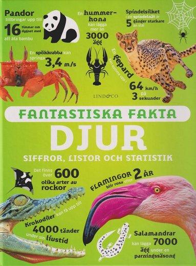 Fantastiska fakta. Djur : siffror, listor och statistik (kartonnage)