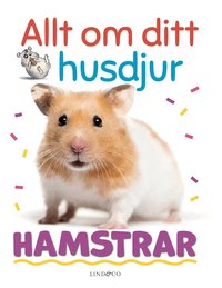 Omslag: Allt om ditt husdjur : Hamstrar
