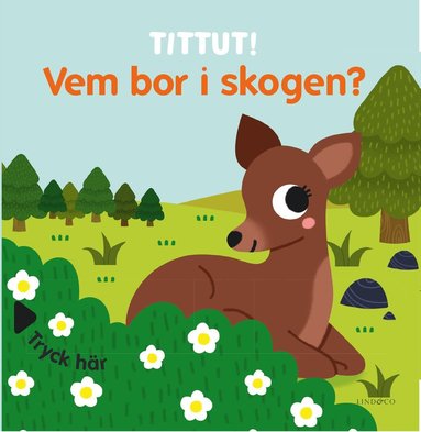 Tittut! Vem bor i skogen? (häftad)