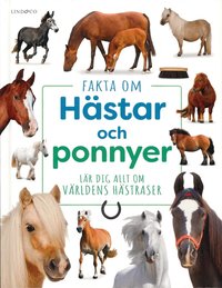 Omslag: Fakta om hästar och ponnyer : Lär dig allt om världens hästraser