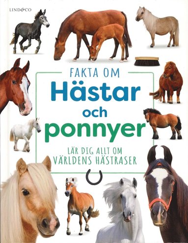 Fakta om hästar och ponnyer : Lär dig allt om världens hästraser (kartonnage)