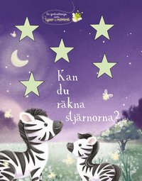 Omslag för Kan du räkna stjärnorna? : en godnattsaga som lyser i mörkret