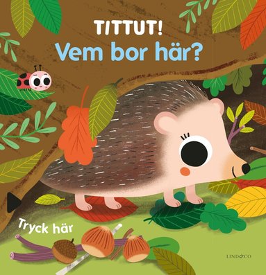 Tittut! Vem bor hr? (kartonnage)