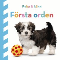 Omslag: Peka och känn : Första orden