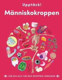 Omslag för Upptäck människokroppen : lär dig allt om hur kroppen fungerar