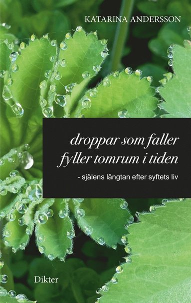 Droppar som faller fyller tomrum i tiden: - själens längtan efter syftets liv (pocket)