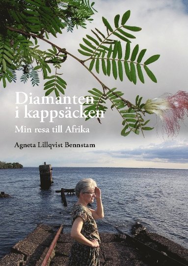 Diamanten i kappscken: Min resa till Afrika (inbunden)