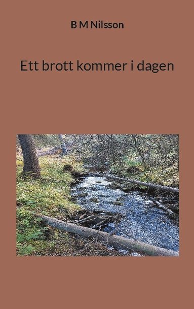 Ett brott kommer i dagen (pocket)