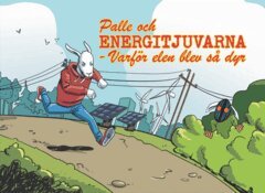 Palle och Energitjuvarna (e-bok)