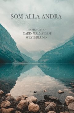 Som alla andra (inbunden)