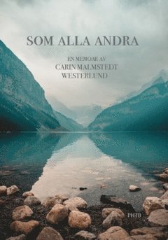 Som alla andra : en memoar (hftad)