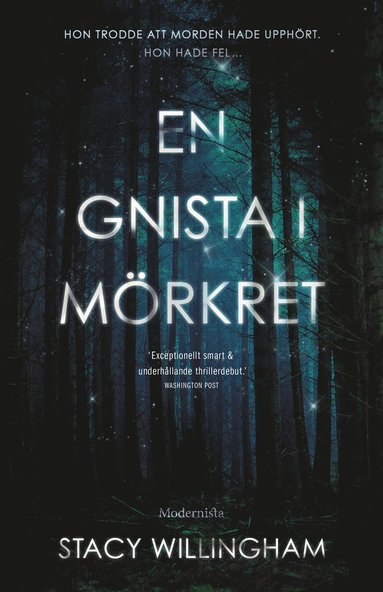 En gnista i mrkret (hftad)