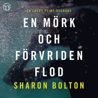 En mrk och frvriden flod (ljudbok)