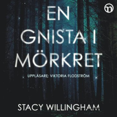 En gnista i m�rkret