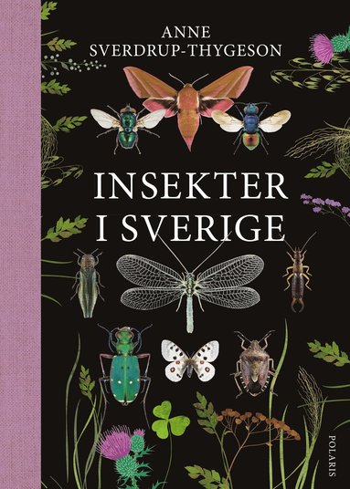 Insekter i Sverige (hftad)