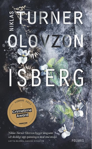 Isberg (pocket)