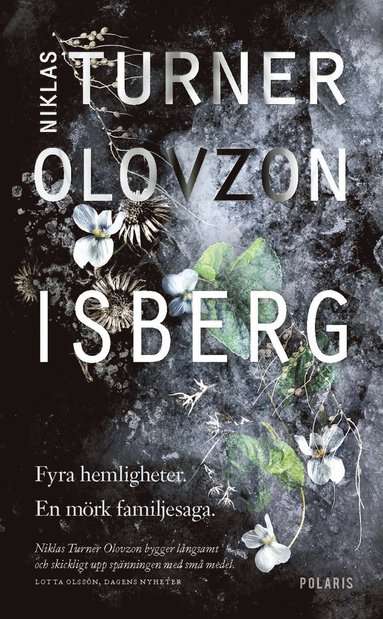 Isberg (e-bok)