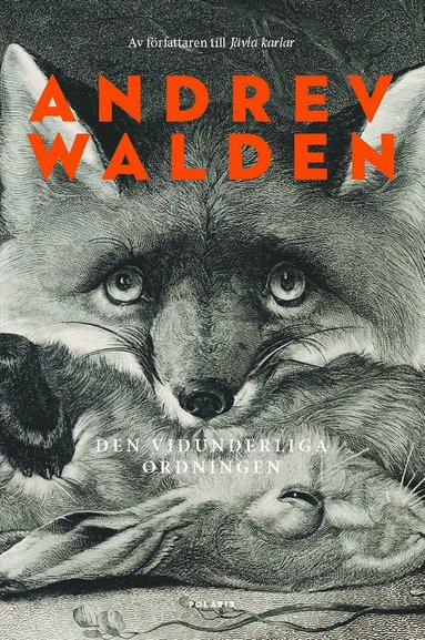 Den vidunderliga ordningen (pocket)