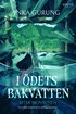 I dets bakvatten : efter monsunen
