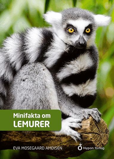 Minifakta om lemurer (kartonnage)