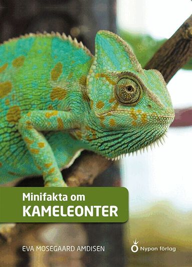 Minifakta om kameleonter (kartonnage)