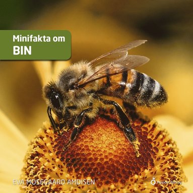 Minifakta om bin (h�ftad)